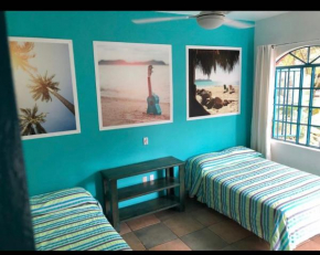 Surf N Roll House